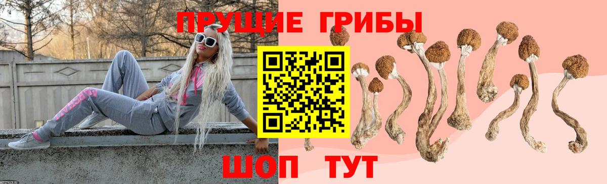 как найти закладки  Галлюциногенные грибы Psilocybine cubensis  Вход с VPN  Апшеронск  Галлюциногенные грибы Psilocybe 